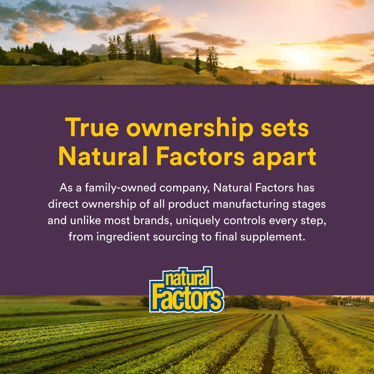 Gélules végétariennes Natural Factors Extrait de Céleri en gros plan