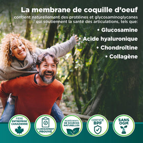 Genacol Ovoflex, illustration des ingrédients naturels