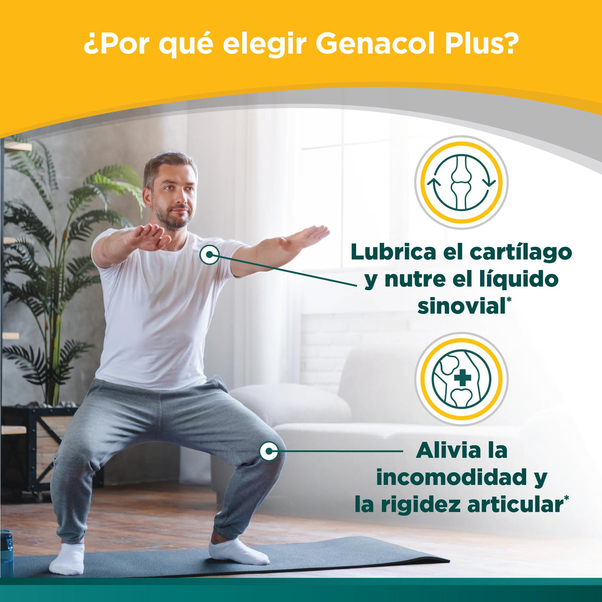 Genacol Plus sur une surface blanche avec un éclairage naturel