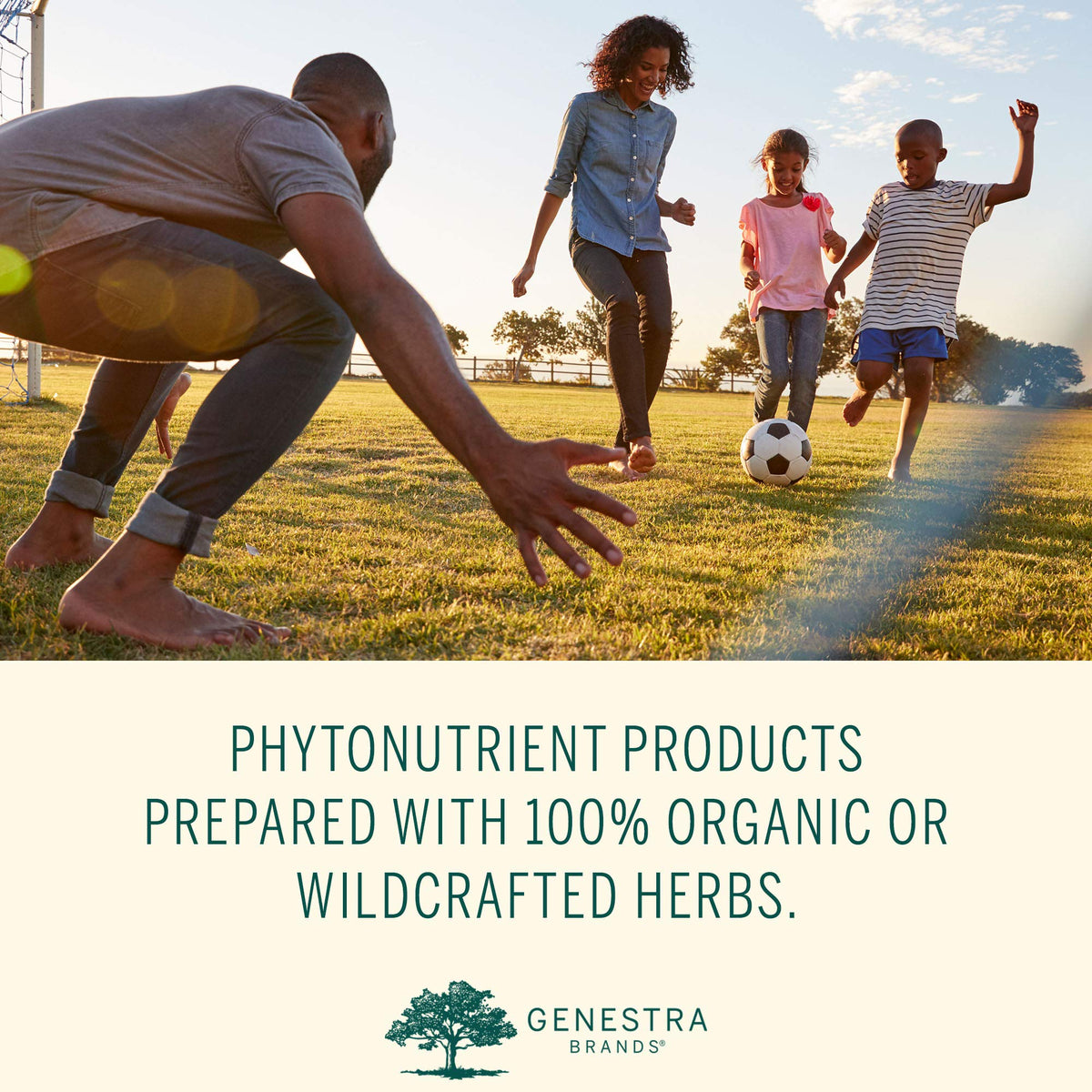 Genestra Brands Phyto Greens Capsules open bottle