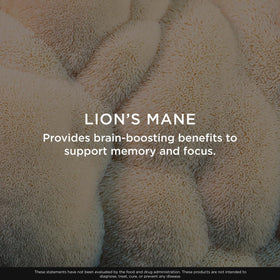 Genius Lion's Mane Chews caramel salé, gommes en gros plan