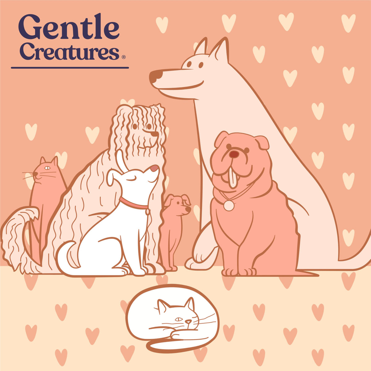 Gentle Creatures Poudre de Calcium en Coquille d'Oeuf avec un chien et un chat