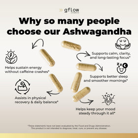 gflow vitamins Ashwagandha 300 mg capsules à côté d'une tasse de thé