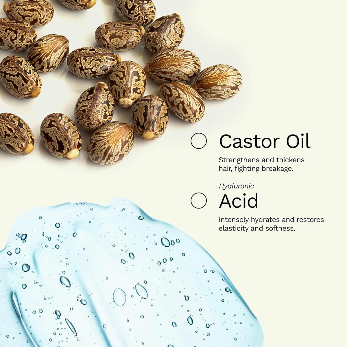 Ginger Milk ampoules avec accessoires de mélange