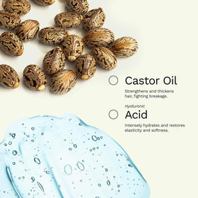 Ginger Milk ampoules avec accessoires de mélange