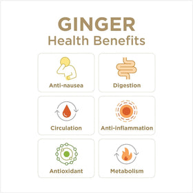Gingerade au Citron et Miel dans un environnement de cuisine