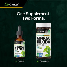 Ginkgo Biloba BIO KRAUTER avec des feuilles de Ginkgo
