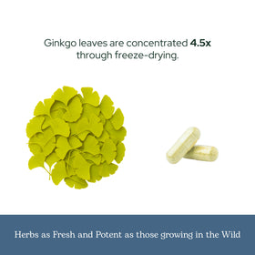 Ginkgo Biloba Capsules 450 mg ECLECTIC INSTITUTE avec un verre d'eau