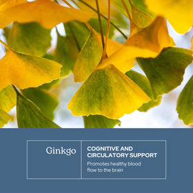 Ginkgo Biloba Capsules 450 mg ECLECTIC INSTITUTE packaging