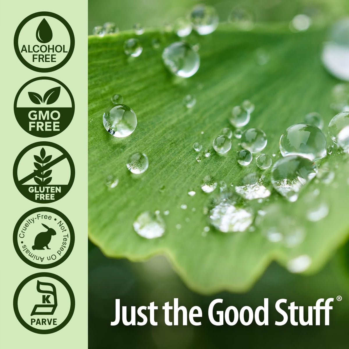 Ginkgo Biloba extrait liquide avec verre doseur