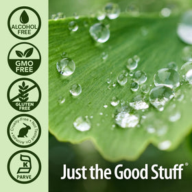 Ginkgo Biloba extrait liquide avec verre doseur