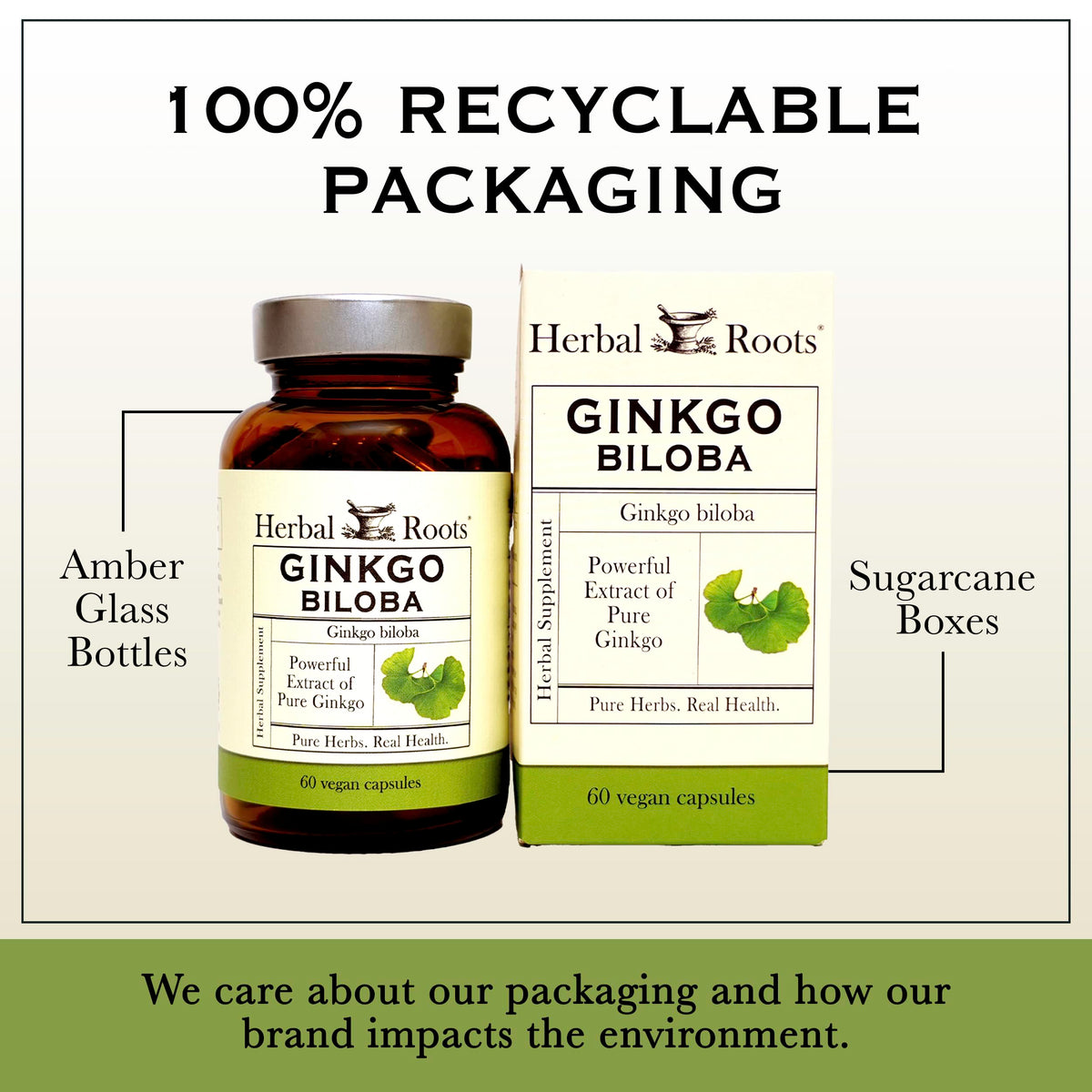 Ginkgo Biloba Herbal Roots avec une main tenant une capsule