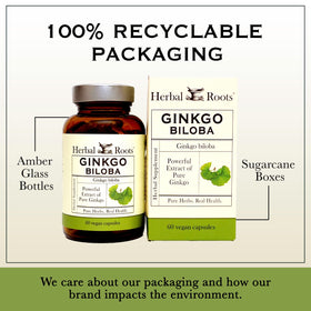 Ginkgo Biloba Herbal Roots avec une main tenant une capsule