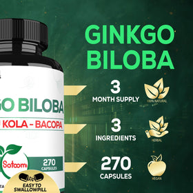 Ginkgo Biloba Satoomi avec ingrédients naturels en arrière-plan