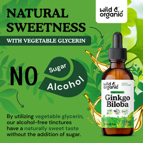 Ginkgo Biloba Wild & Organic, étiquette détaillant les ingrédients