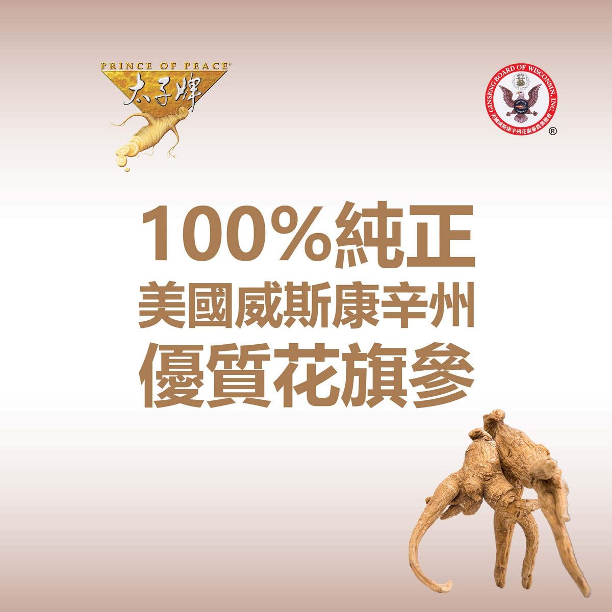 Ginseng américain Prince Of Peace avec tasse de tisane
