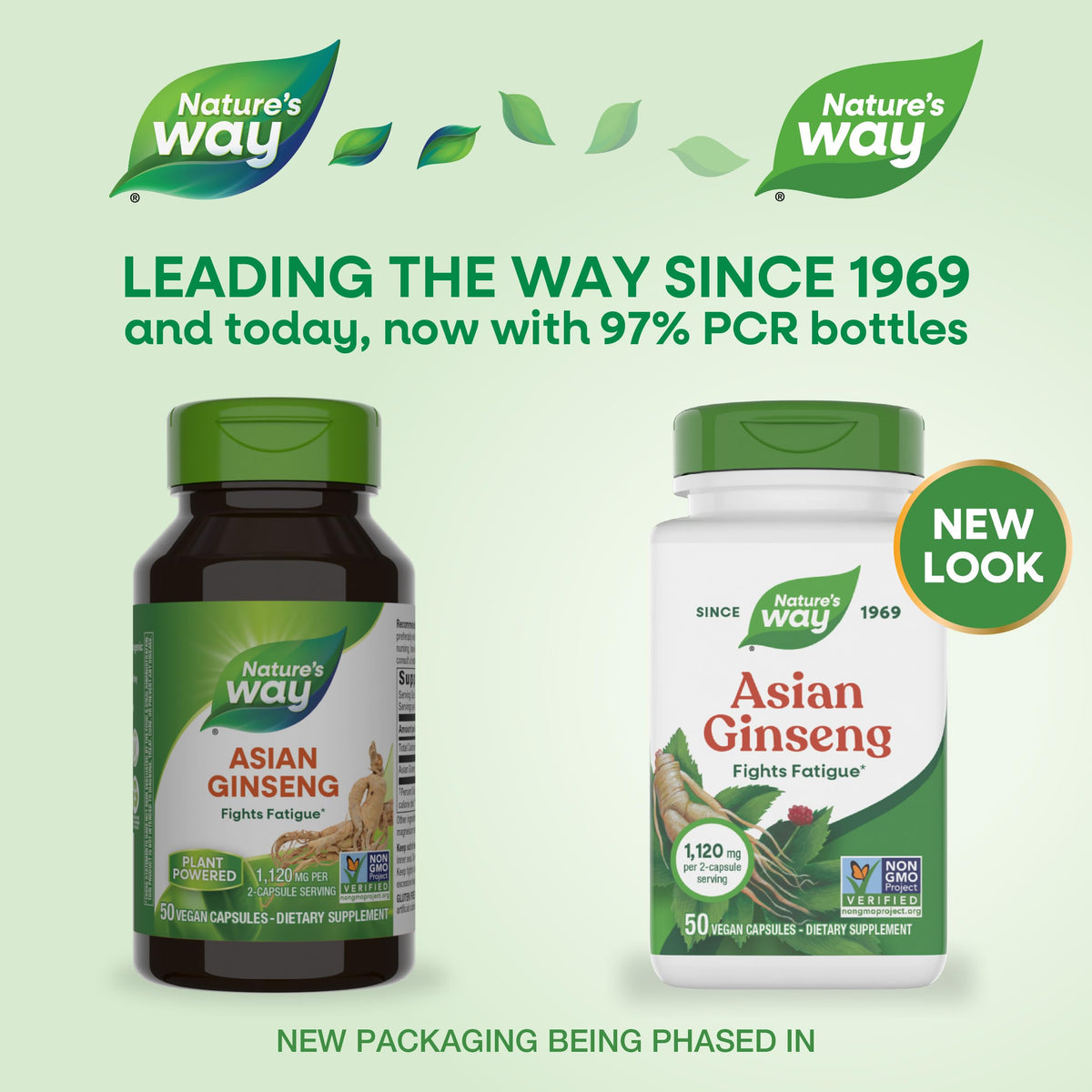 Ginseng Asiatique Nature's Way 2 capsules sur une table