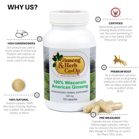 GINSENG & HERB CO-OP capsules de ginseng sur une table