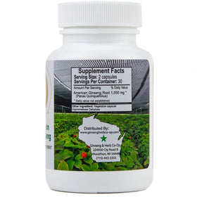 GINSENG & HERB CO-OP Ginseng américain pur 500mg capsules en gros plan