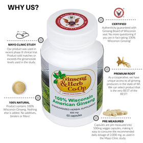 GINSENG & HERB CO-OP Ginseng américain pur 500mg capsules vue de côté