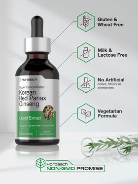 Ginseng rouge coréen, racine présentée avec le flacon Horbäach
