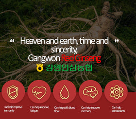 Ginseng rouge de 6 ans en poudre pour thé Gangwoninsam