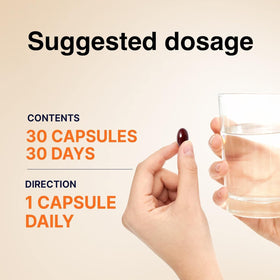 Ginseng rouge en poudre à côté des capsules JUNG KWAN JANG