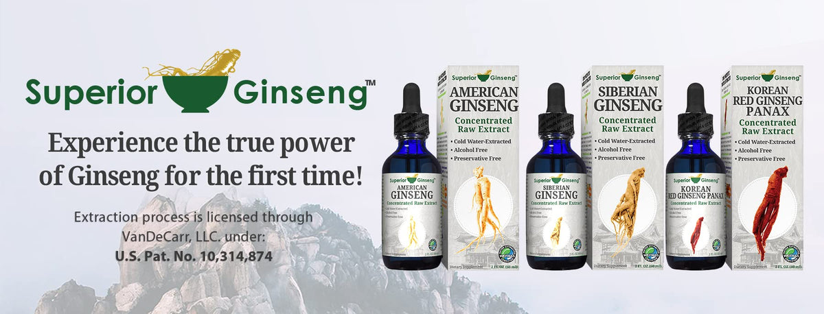 Ginseng sibérien biologique sur une table en bois