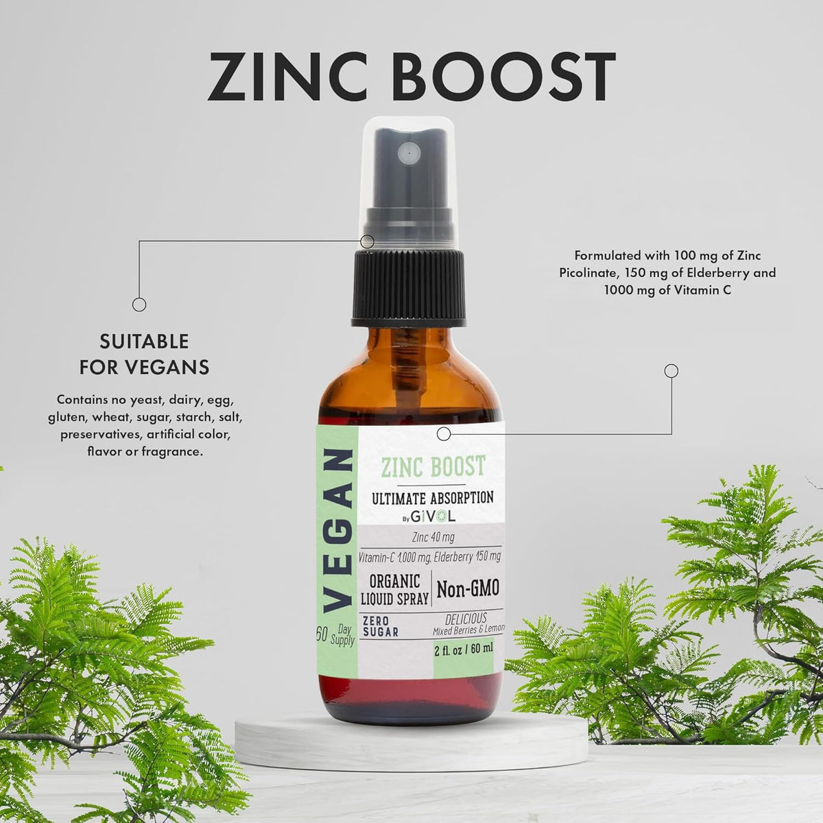 GIVOL Zinc Active Mist Spray Liquide 60 ml avec pulvérisateur