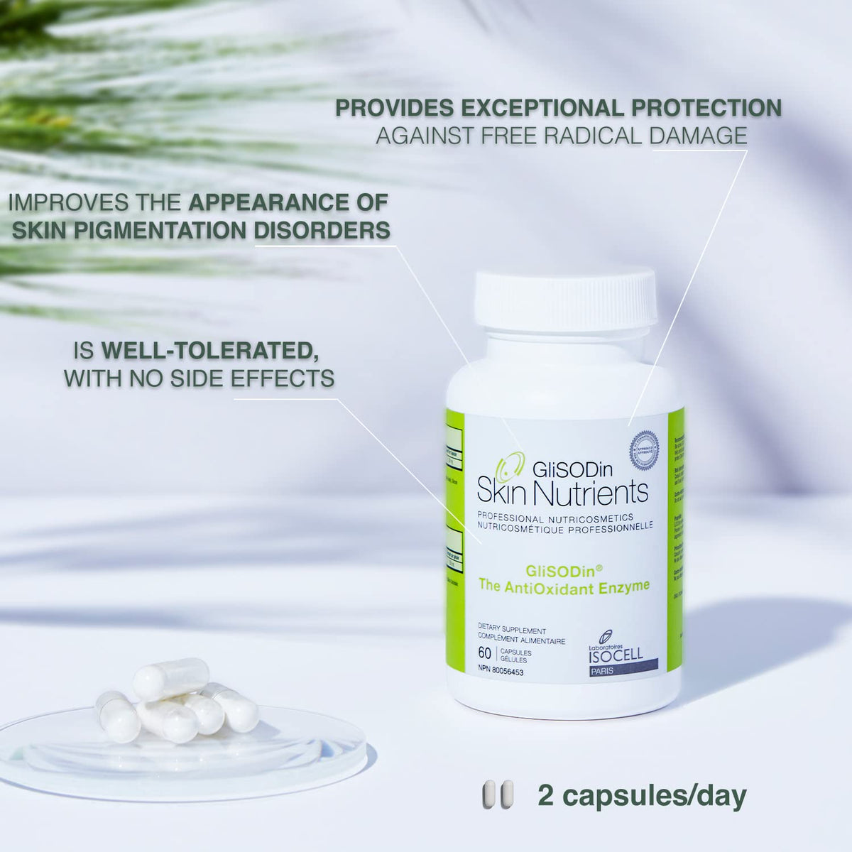 GliSODin Antioxidant Enzyme 60 capsules vue latérale