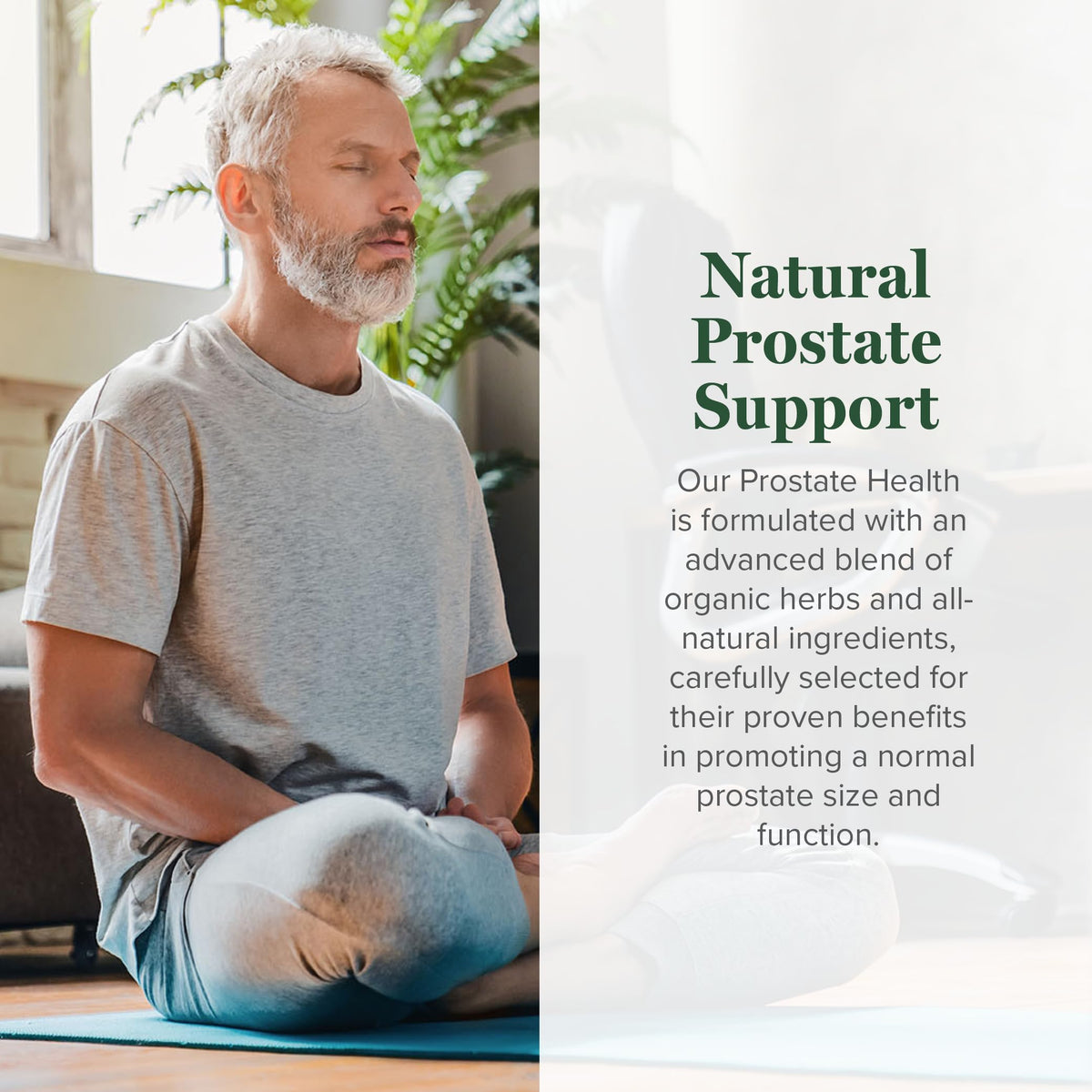 Global Healing Center Complément Prostate 2 Fl Oz arrière