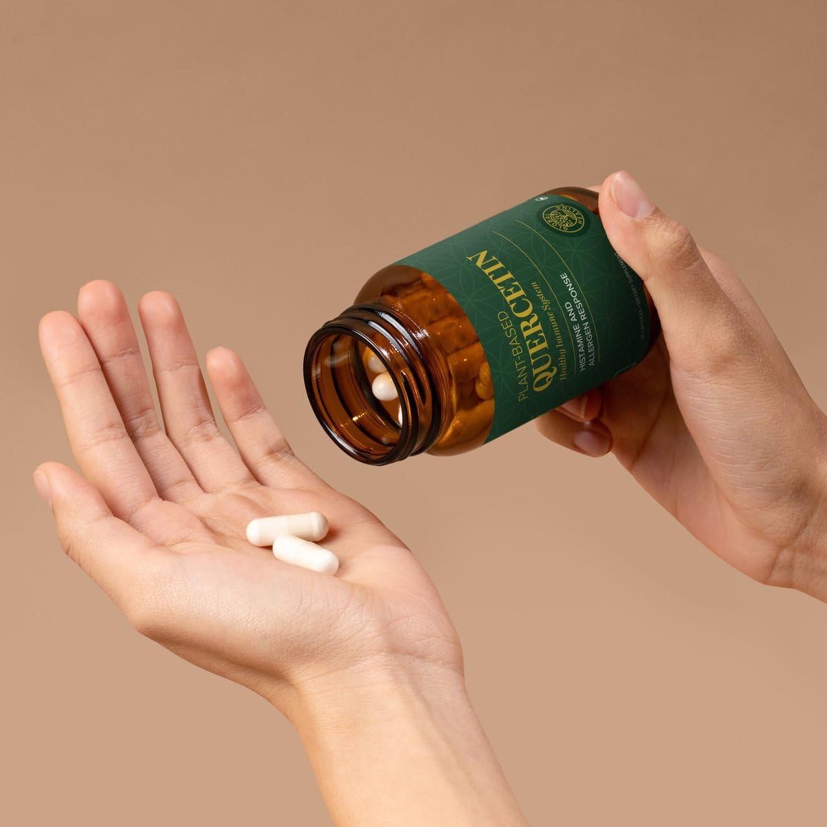 Global Healing Center Quercetin 500mg étiquette de la boîte