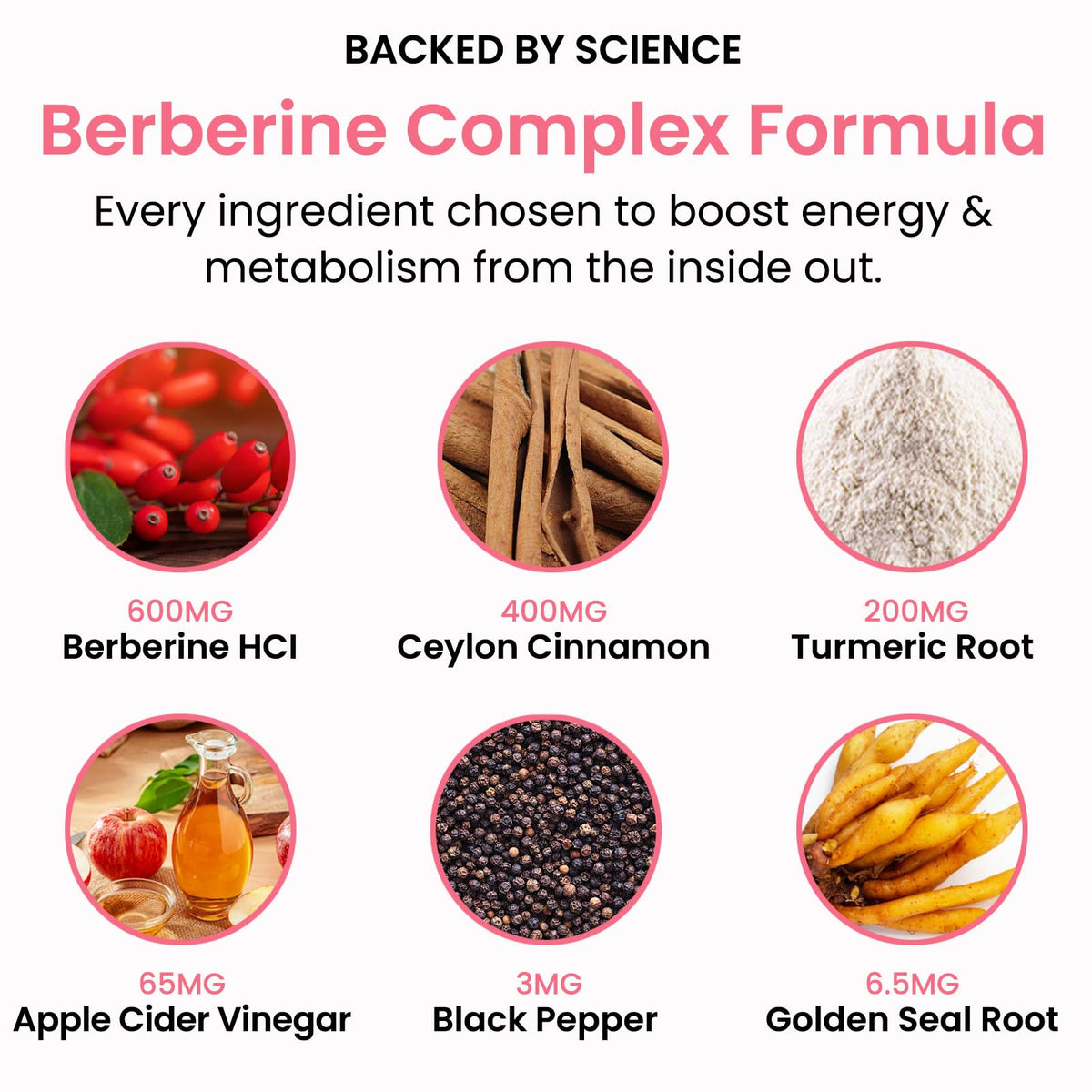 Glov Berberine Complex avec des ingrédients clés