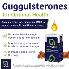 GlucodOX AMPK Activator 60 capsules avec un fond naturel