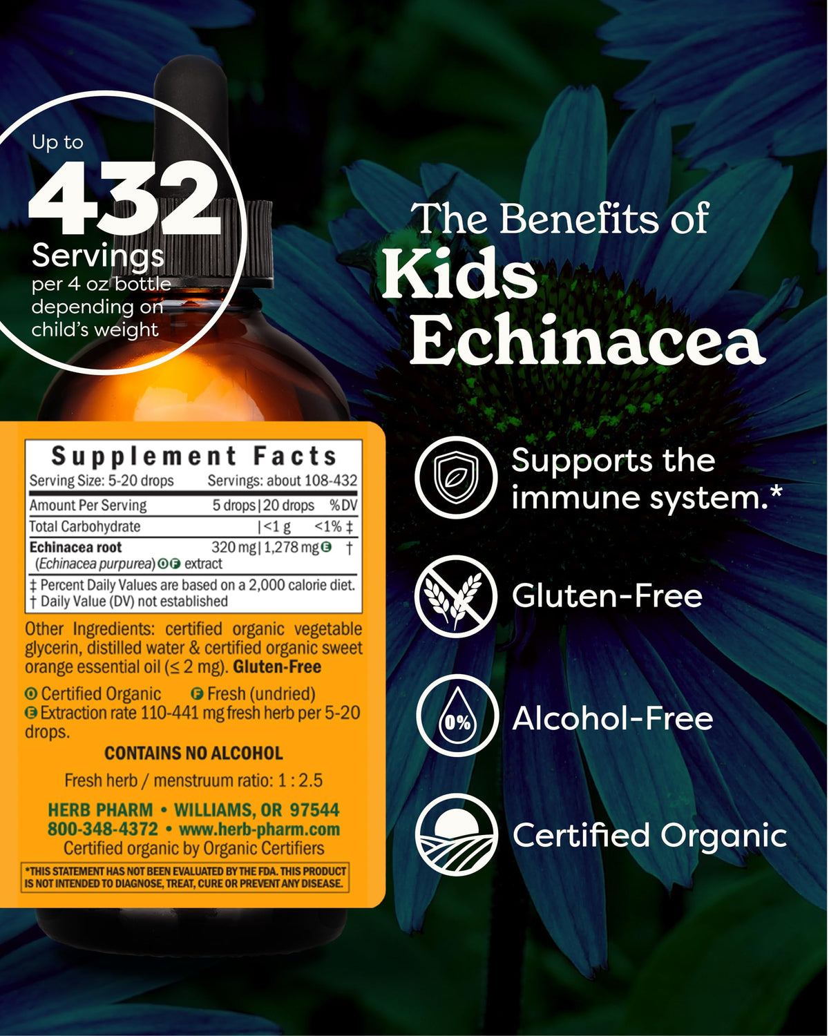 Glycerite d'Echinacea Herb Pharm 4 oz arrière avec informations nutritionnelles