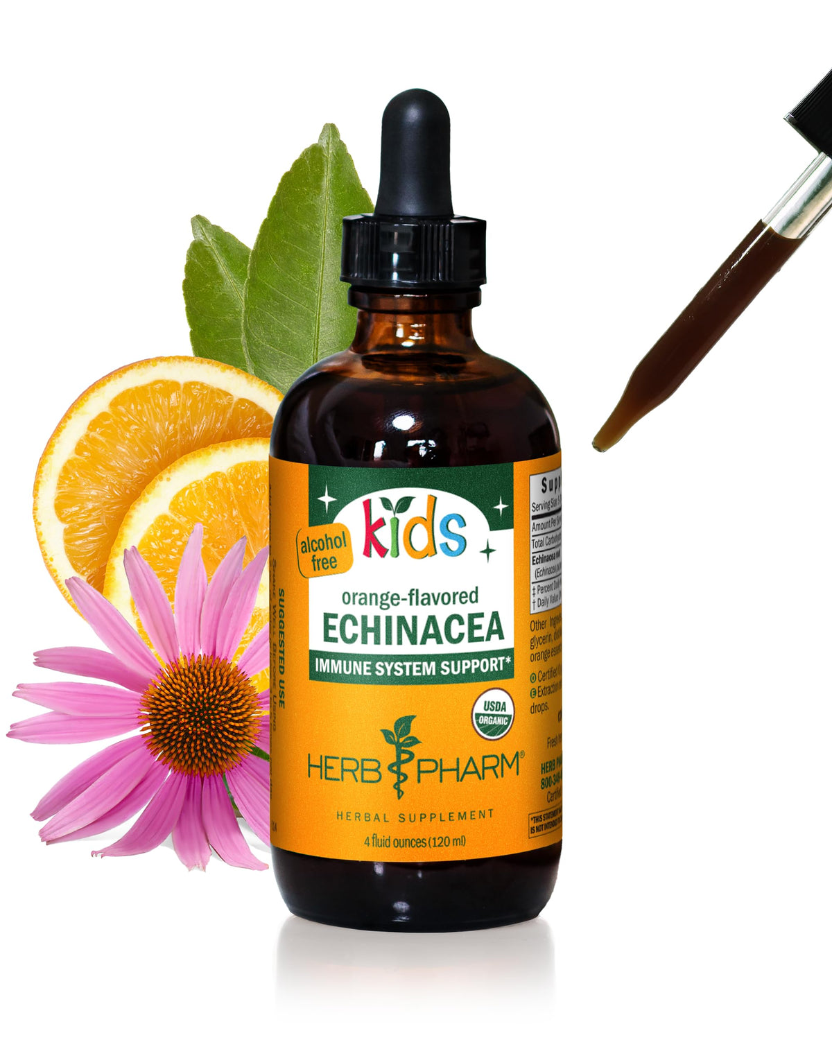 Glycerite d'Echinacea Herb Pharm 4 oz devant avec étiquette