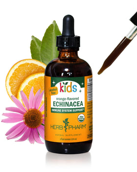Glycerite d'Echinacea Herb Pharm 4 oz devant avec étiquette