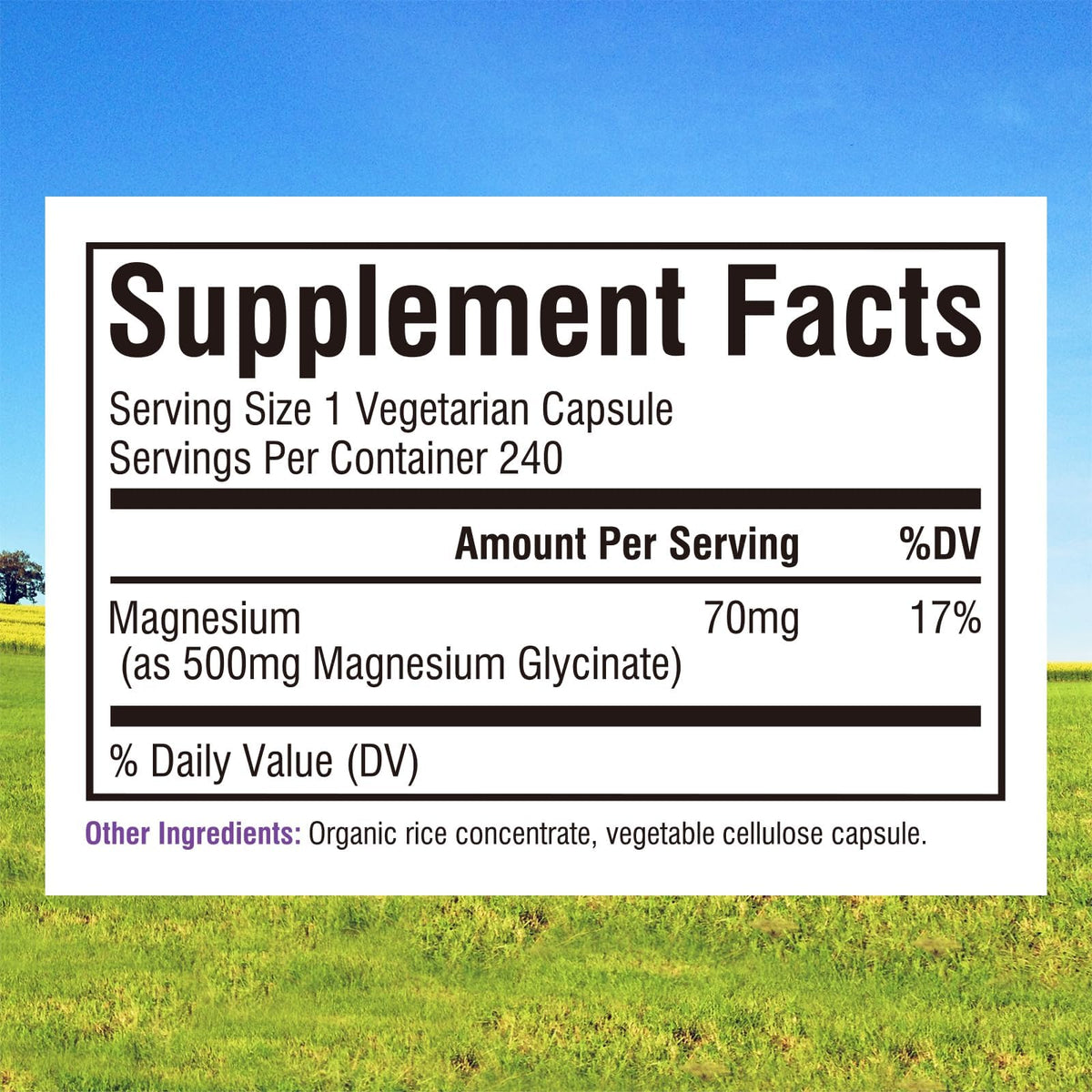 Glycinate de Magnésium Innate Vitality 500mg capsules sur un fond blanc