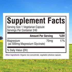 Glycinate de Magnésium Innate Vitality 500mg capsules sur un fond blanc