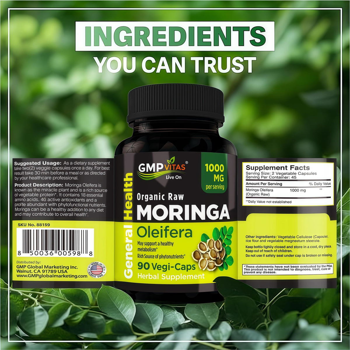 GMP Vitas Capsules de Moringa Bio 1000mg - vue arrière