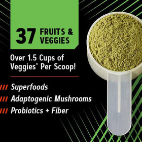 GNC Amplified Greens Blend 320g, présentation en lifestyle avec un shaker