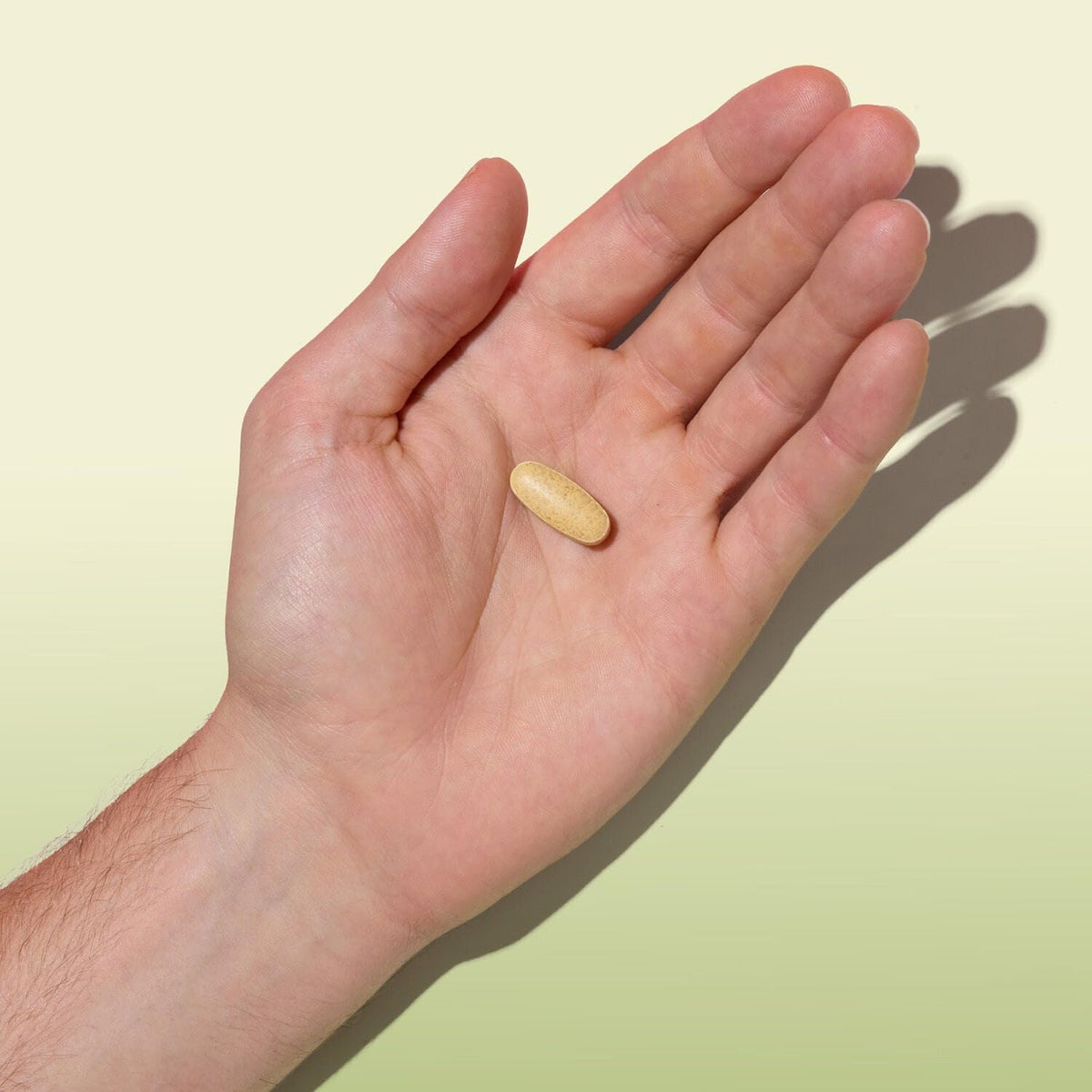 GNC Herbal Plus Chardon-Marie 1300mg comprimés posés sur une surface
