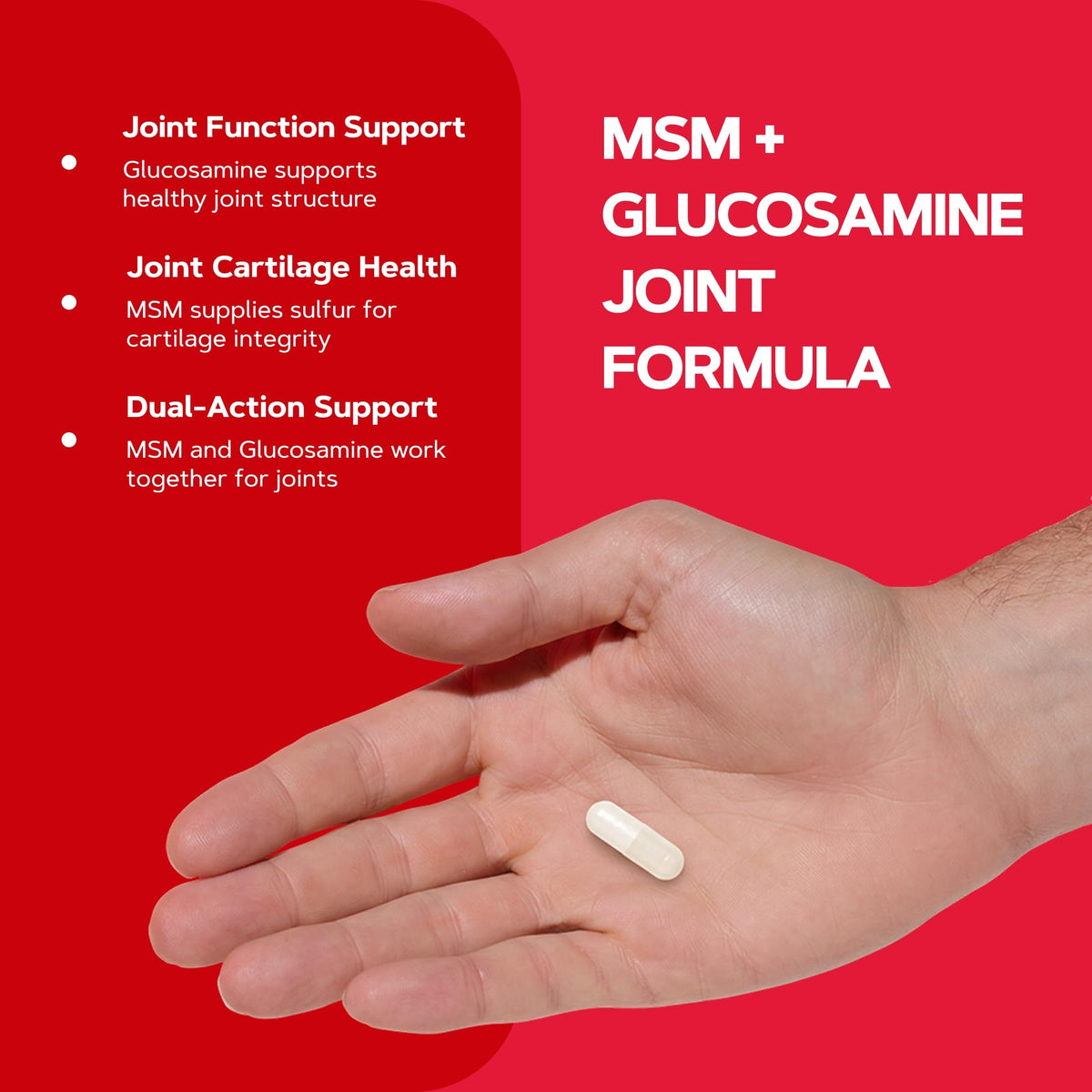 GNC MSM Glucosamine 500mg - capsules sur un fond blanc