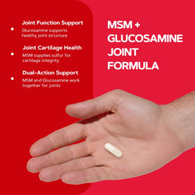 GNC MSM Glucosamine 500mg - capsules sur un fond blanc