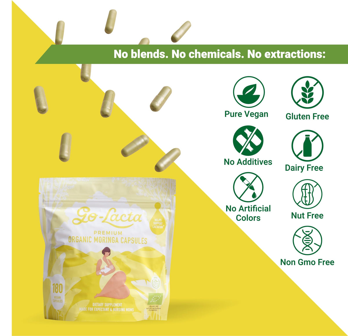 Go-Lacta gélules de moringa bio avec des feuilles de moringa