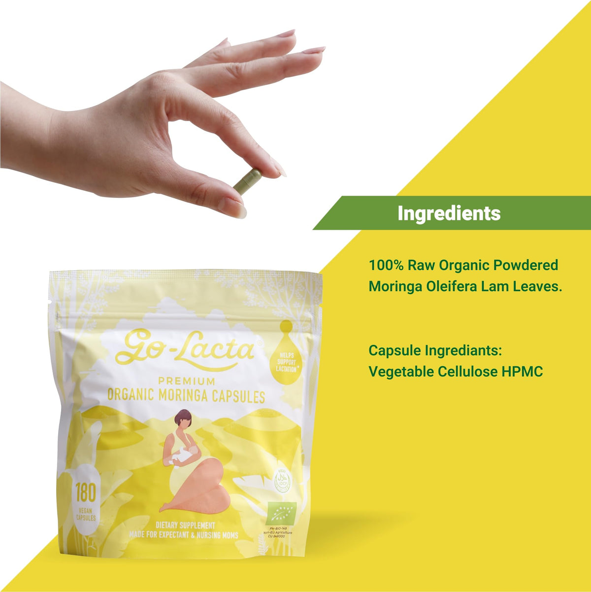 Go-Lacta gélules de moringa bio étiquette et informations