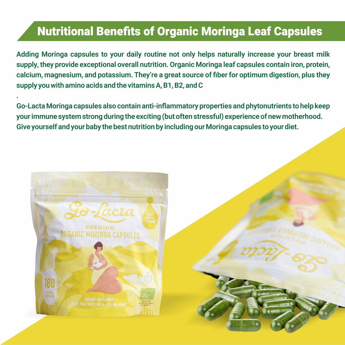 Go-Lacta gélules de moringa bio montrant le contenu naturel