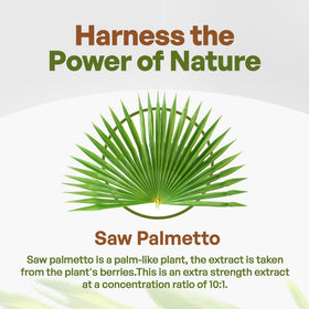 Go Nutra Extrait de Saw Palmetto 10:1 en poudre dans un bol