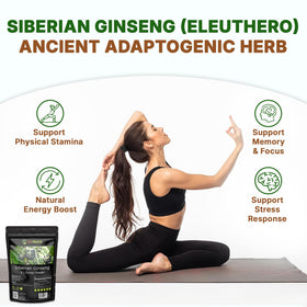 Go Nutra Ginseng Sibérien Éleuthéro Poudre sur une table en bois