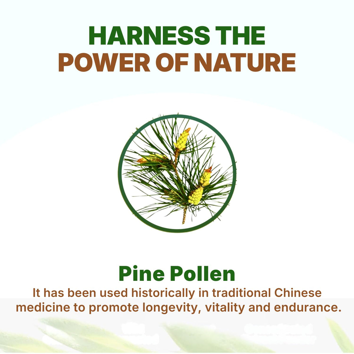Go Nutra Pollen de Pin en Poudre 181g utilisation dans un smoothie